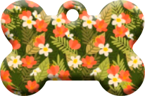 Hawai_03